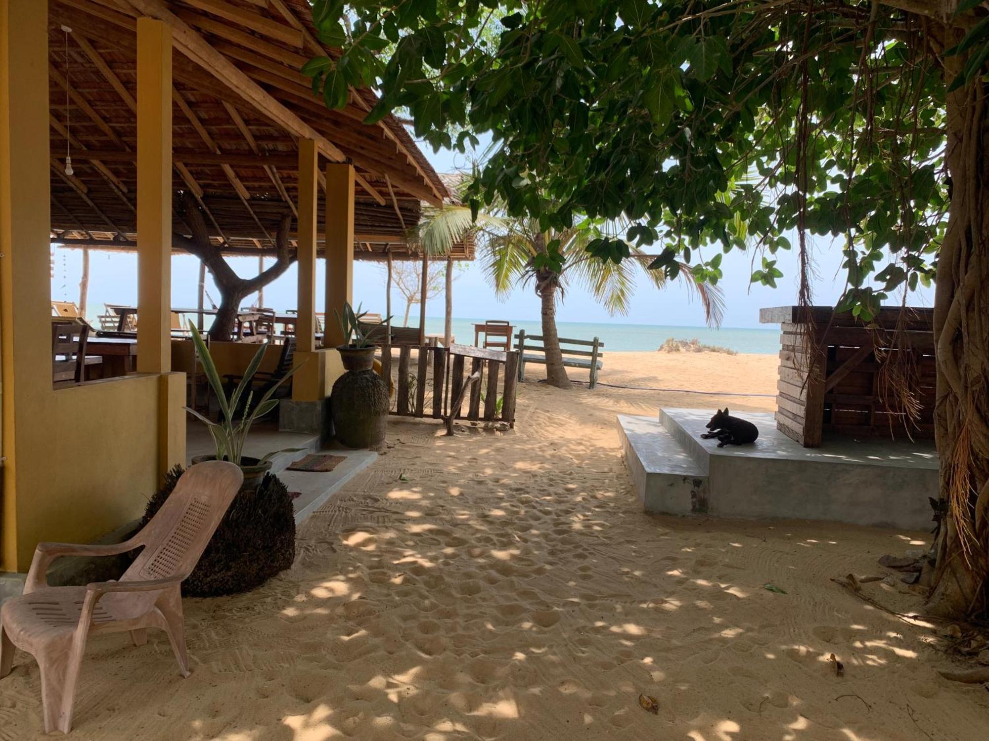 Ocean View Beach Resort - Kalpitiya Exteriör bild